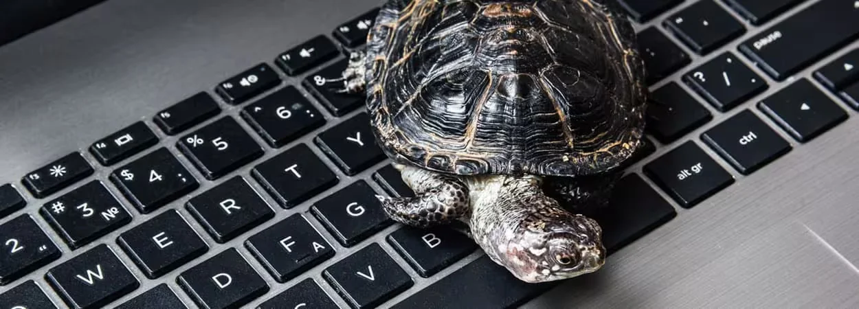 Why Your Laptop is Slow